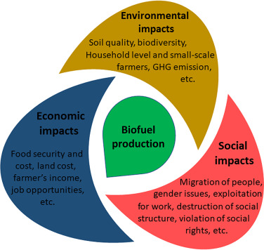 Sustainability
